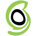 Logo SiteGround