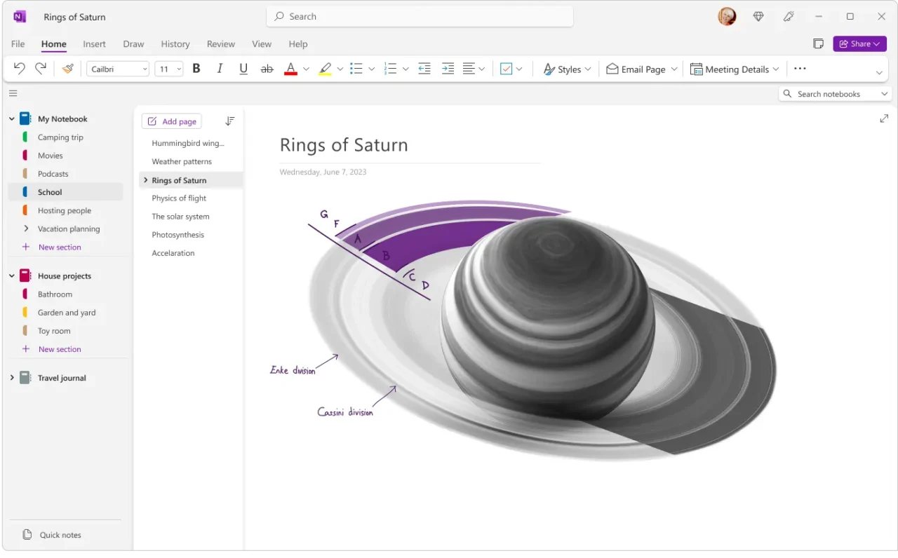 Application OneNote pour Windows avec le ruban Accueil, la liste des blocs-notes et sections à gauche et une page annotée