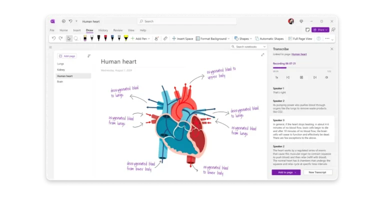 Onglet Dessin de OneNote avec un schéma annoté au stylet et le volet Transcrire affichant un enregistrement découpé par intervenant