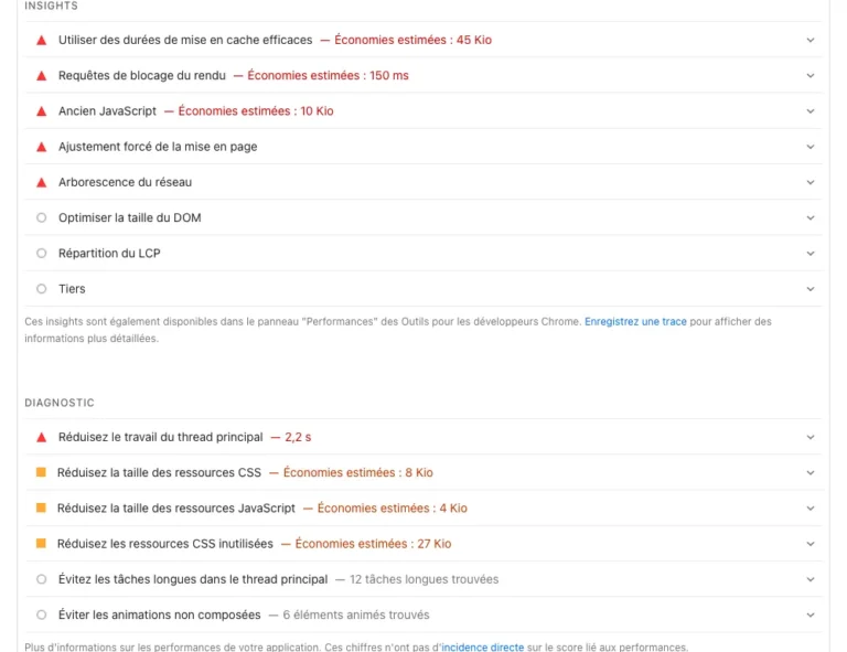 Liste des insights et diagnostics PageSpeed Insights avec les économies estimées en Kio et en millisecondes