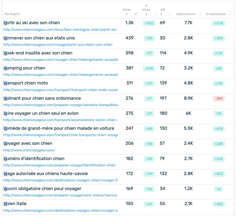 Pages importées depuis Google Search Console avec sujet principal, clics, mots-clés, impressions et leurs variations