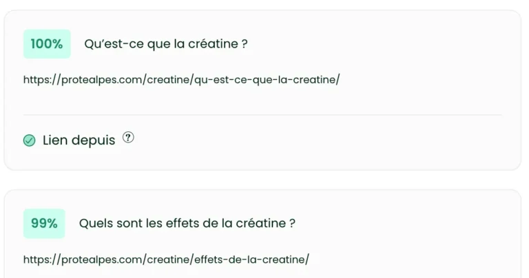 Suggestions de maillage interne Thot SEO classées par pertinence avec indication des liens déjà en place
