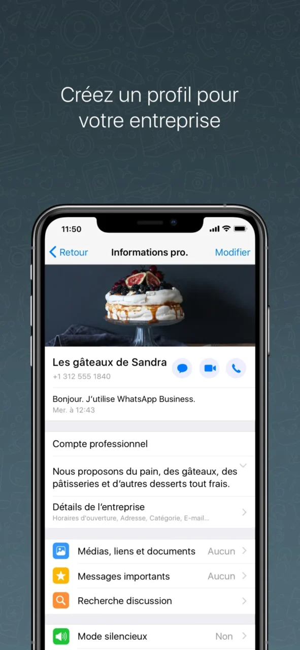 Fiche d'informations professionnelles dans l'application WhatsApp Business sur iPhone, avec description et détails de l'entreprise